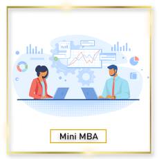 Mini MBA